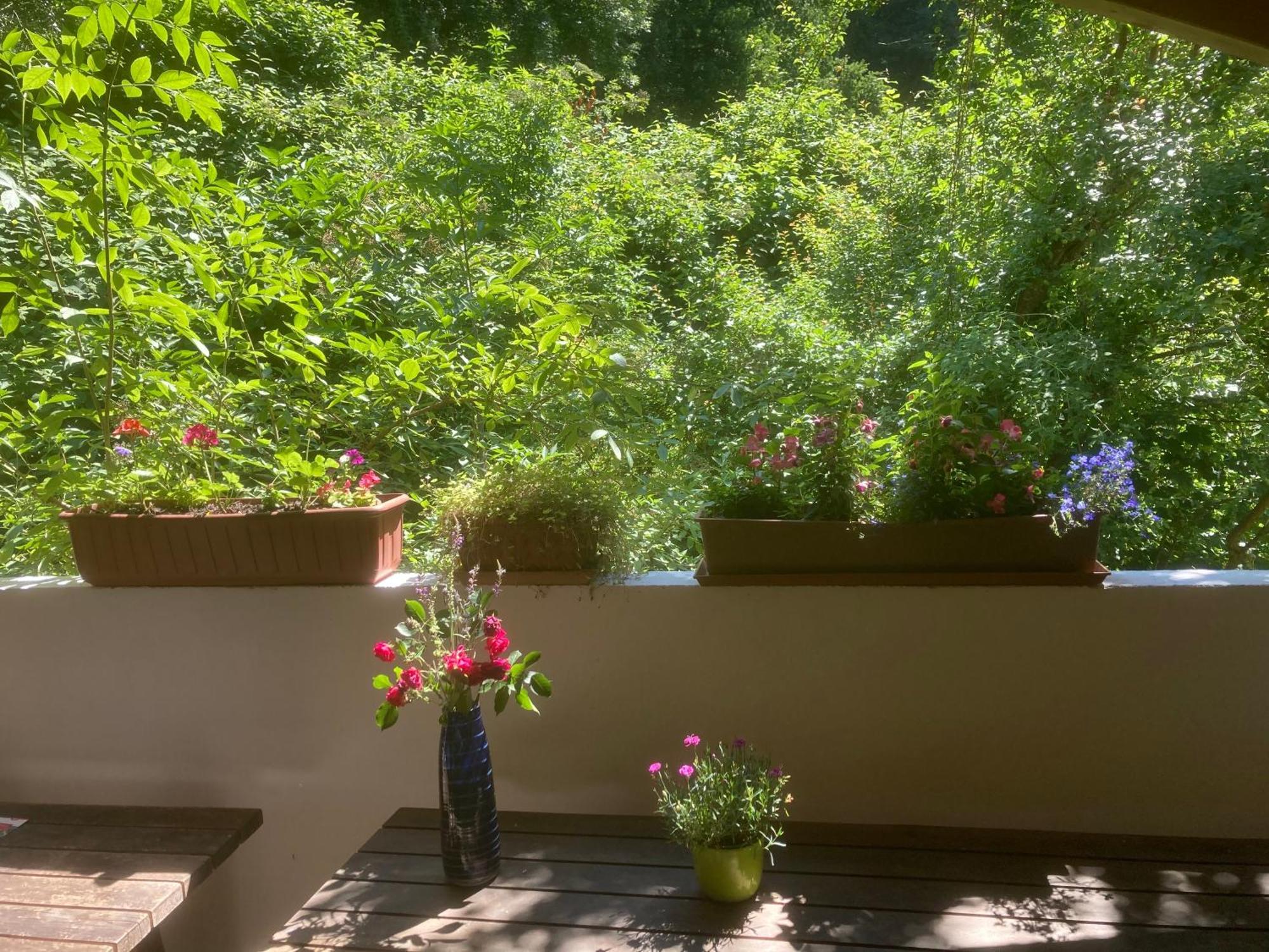 Pension Zur Freiheit Passau Exterior photo